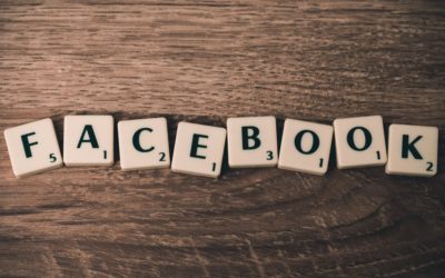 Gestione pagine Facebook aziendali: Facebook insight