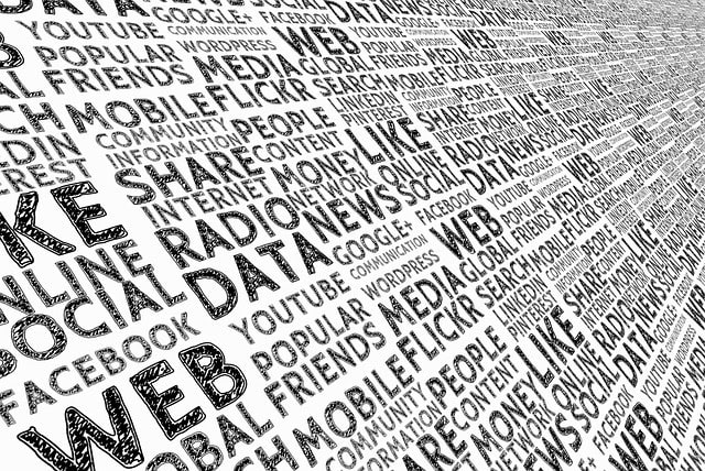 gestire i social network aziendali cosa significa e come farlo al meglio